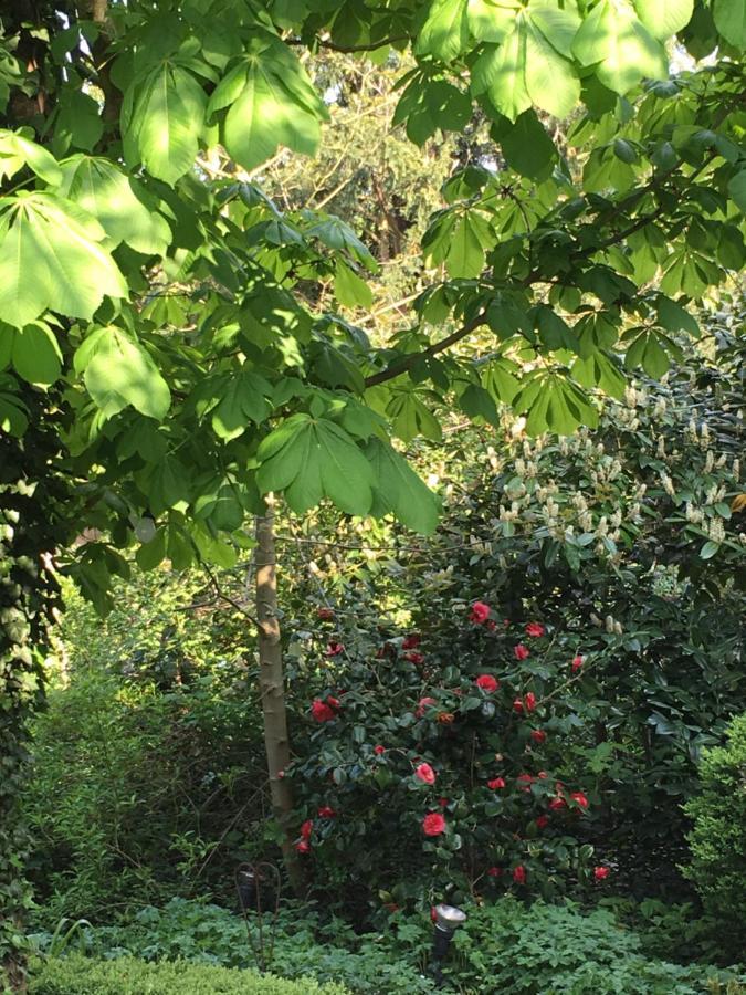Saarlouis Innenstadt Im Gruenen Exteriör bild