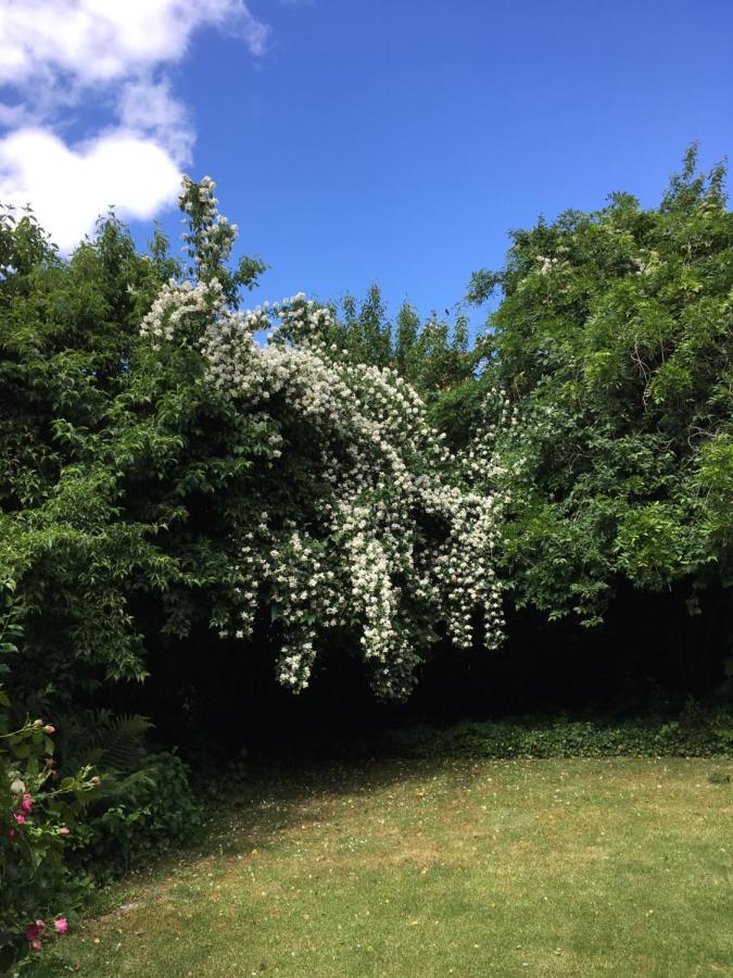 Saarlouis Innenstadt Im Gruenen Exteriör bild
