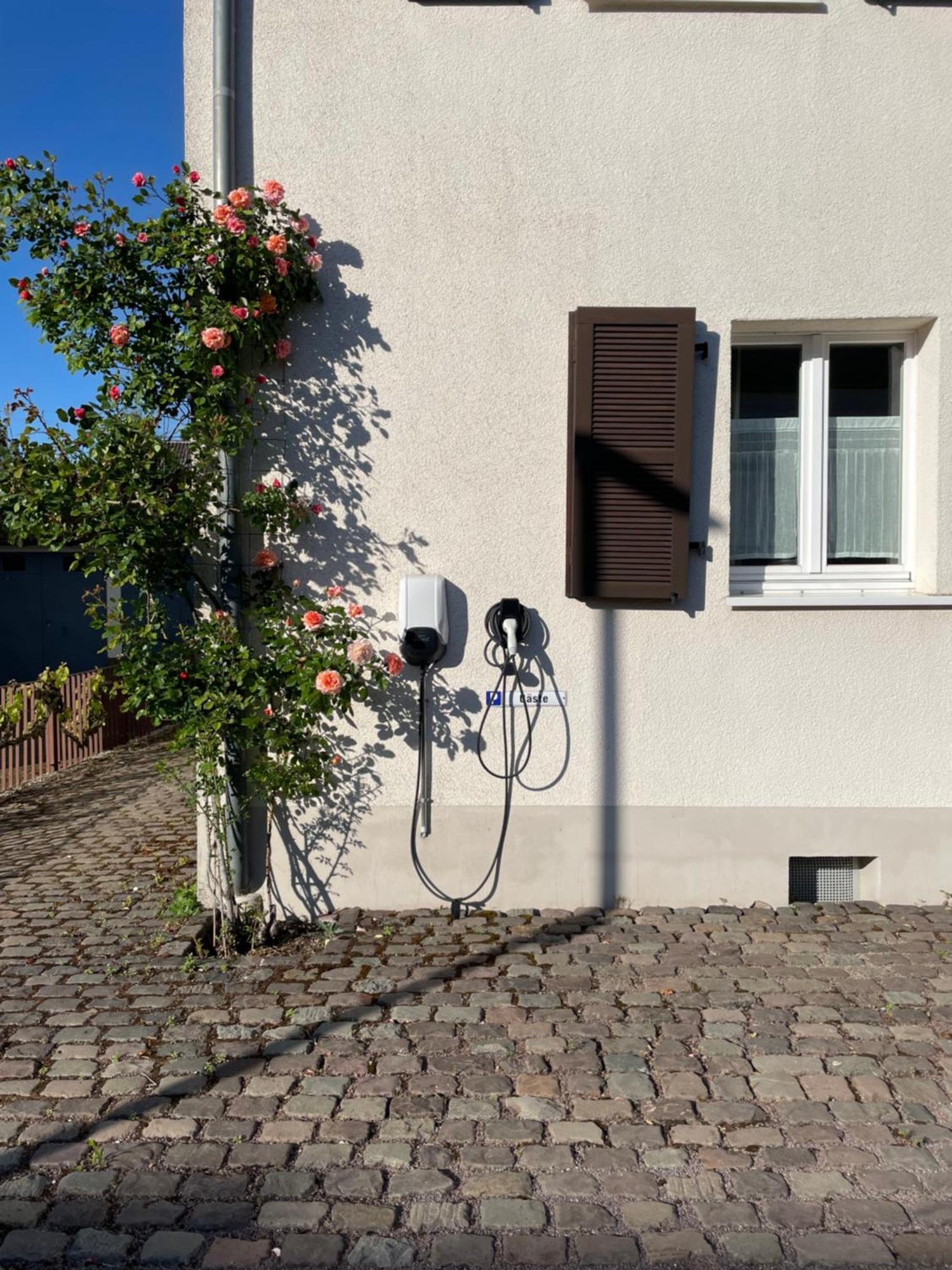 Saarlouis Innenstadt Im Gruenen Exteriör bild